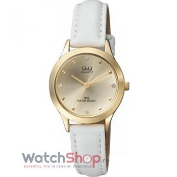 Ceas Q&Q FASHION QZ05J100Y