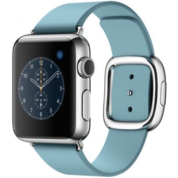 Apple Watch 38mm Stainless Steel Case, Blue Jay Modern Buckle - Large