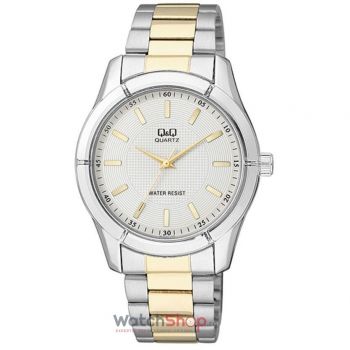 Ceas Q&Q Fashion Q876J401Y