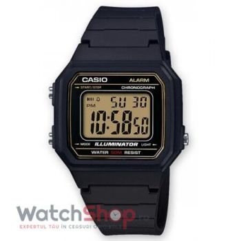 Ceas Casio COLLECTION W-217H-9A