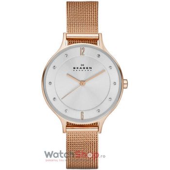 Ceas Skagen STEEL SKW2151