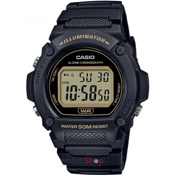 Ceas Casio COLLECTION W-219H-1A2