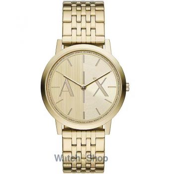 Ceas Armani Exchange A|X ARMANI EXCHANGE Mod. DALE