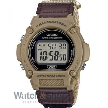 Ceas Casio Casio Collection W-219HB-5AVDF