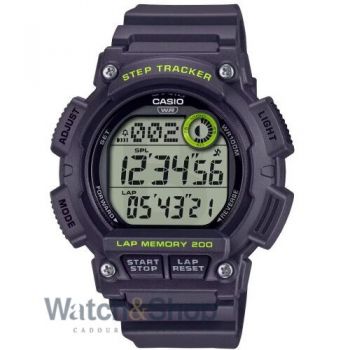 Ceas Casio Casio Collection WS-2100H-8AVDF