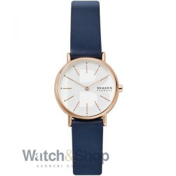 Ceas Skagen Skagen Signatur SKW2838