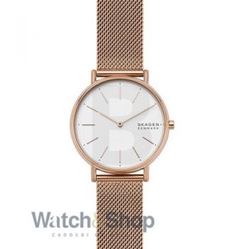 Ceas Skagen Skagen Signatur Slim SKW2784