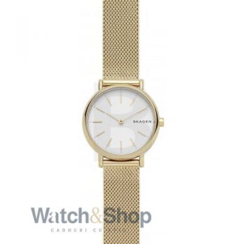 Ceas Skagen Skagen Signature Slim SKW2693