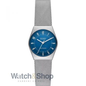 Ceas Skagen Skagen SKW3080