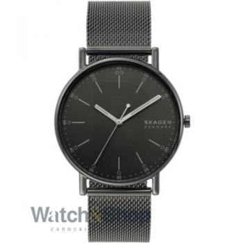 Ceas Skagen Skagen SKW6577