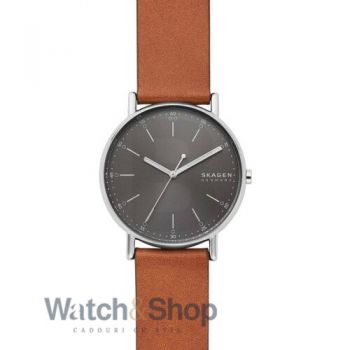 Ceas Skagen Skagen SKW6578