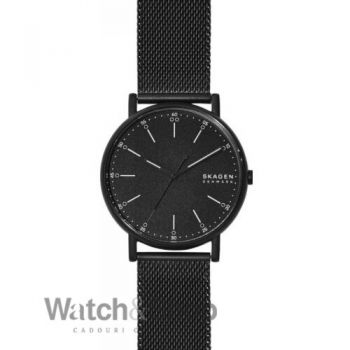 Ceas Skagen Skagen SKW6579