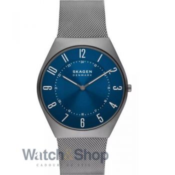 Ceas Skagen Skagen SKW6829