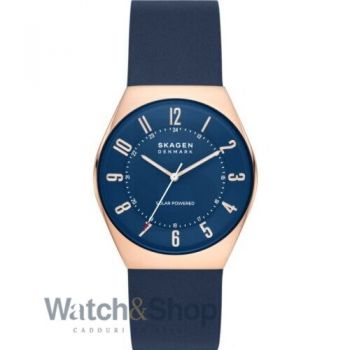 Ceas Skagen Skagen SKW6834