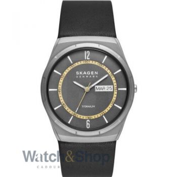 Ceas Skagen Skagen SKW6907