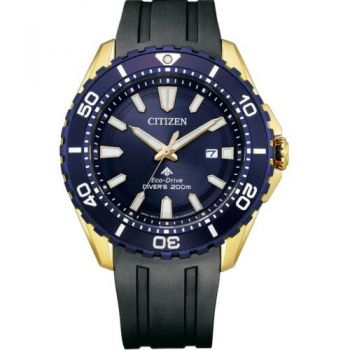 Ceas Citizen Eco-Drive BN0196-01L