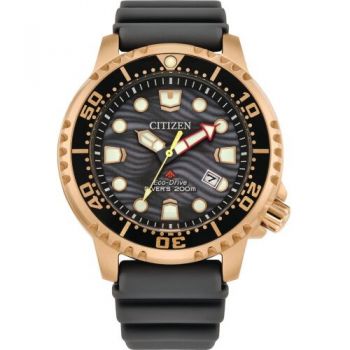 Ceas Citizen Promaster BN0163-00H